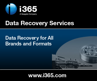 Seagate i365 Data Recovery Form